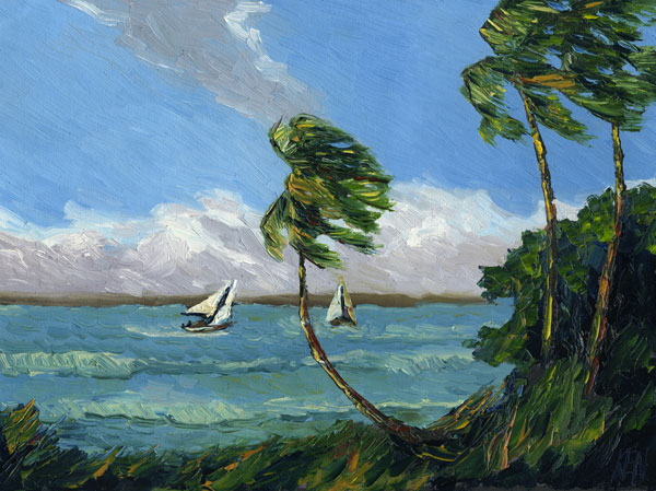 florida seascape river palms sailboats