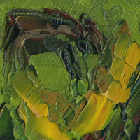 cow feeding on farm impression