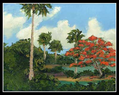 Royal Poinciana on the River