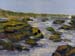 12x16_lostCoast01