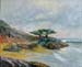 16x20_montereyRain00