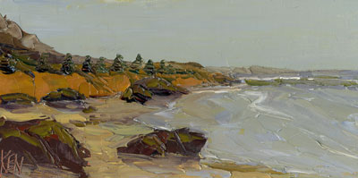 6x12_pineTreeCoast