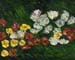 16x20_groundCover_074q
