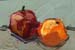 2x3_appleOrange_074q