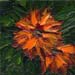 4x4_orangeFlame_074q