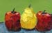 4x6_applePear_07-4q