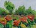 8x10_desertGarden_074q