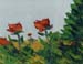 8x10_desertRoses_074q