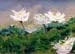 9x12_moodyWhites_074q
