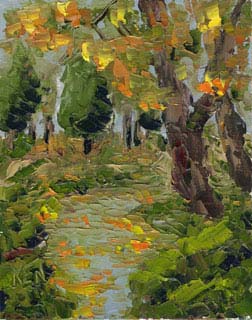 8x10_forestCreek