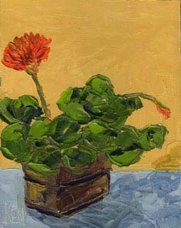8x10_geraniums00