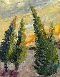 8x10cp_forestFire