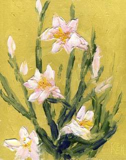 8x10cp_whiteFlowers00