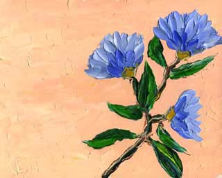 8x10cp_wildFlowers00