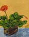 8x10_geraniums00