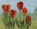 8x10_redTulips00