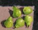 8x10cp_fivePears00