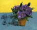 8x10cp_violets00