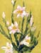 8x10cp_whiteFlowers00