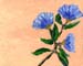 8x10cp_wildFlowers00