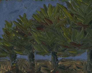 8x10c_landscape05