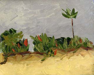 8x10c_wildflowers04