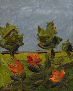 8x10c_wildflowers11