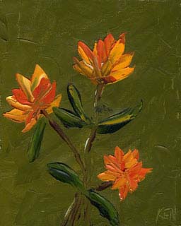 8x10c_wildflowers14