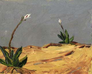 8x10c_wildflowers18