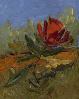 8x10c_wildflowers23