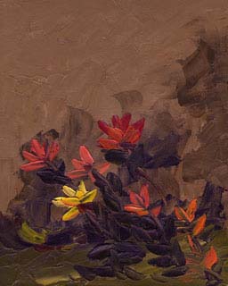 8x10c_wildflowers28