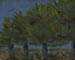 8x10c_landscape05