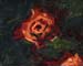8x10c_wildflowers02