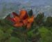 8x10c_wildflowers20