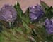 8x10c_wildflowers27
