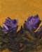 8x10c_wildflowers29