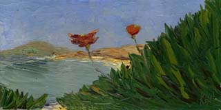 12x24sc_lakeMead01