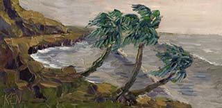 8x16_hawaiinCoast01