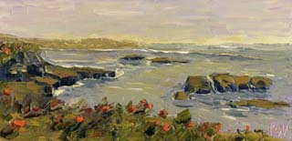 8x16_northCoast00