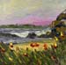 12x12_coveFlowers00