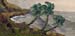 8x16_hawaiinCoast01