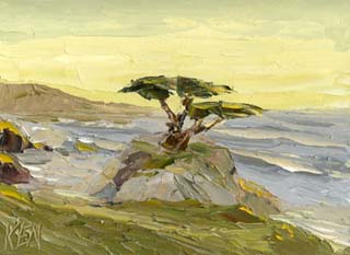 9x12_montereyCypress01