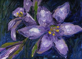9x12_purpleIris00
