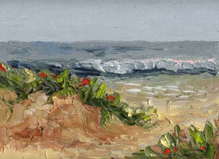 9x12cp_beachFlowers