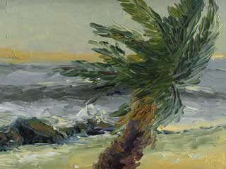 9x12cp_oceanPalm01