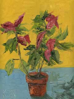 9x12cp_oldPoinsetta