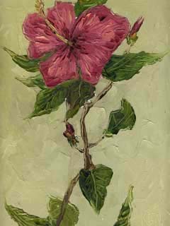 9x12cp_redHibiscus