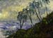 9x12_hawaiiPalms