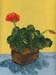 9x12cp_geraniums00