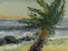 9x12cp_oceanPalm01